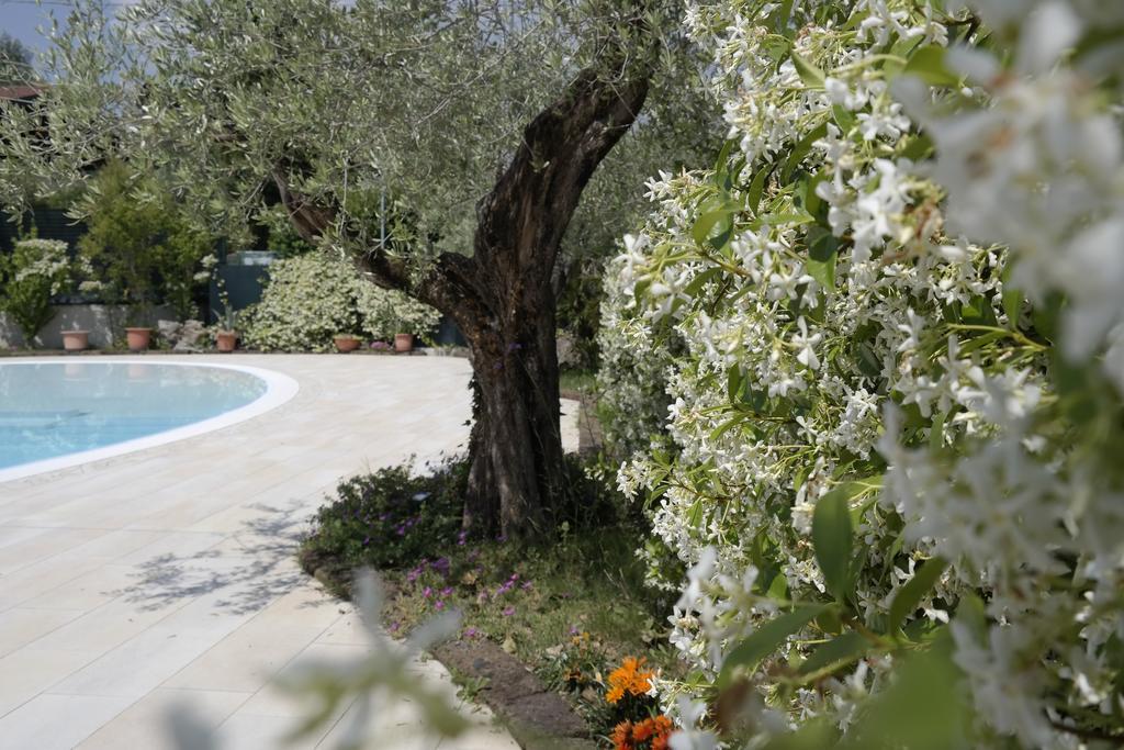 Campeggio Delle Rose Moniga del Garda Ngoại thất bức ảnh